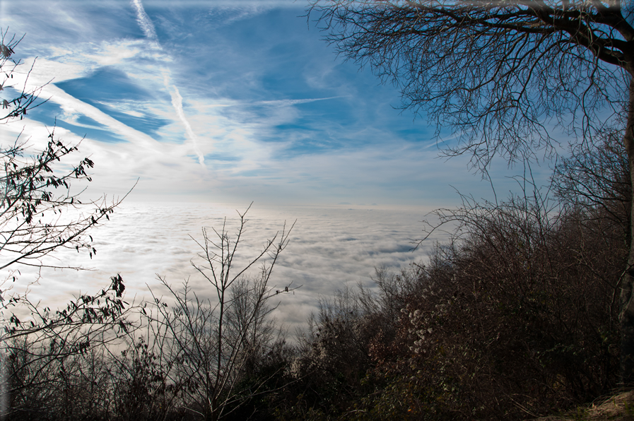 foto Colline di Romano d'Ezzelino nella Nebbia